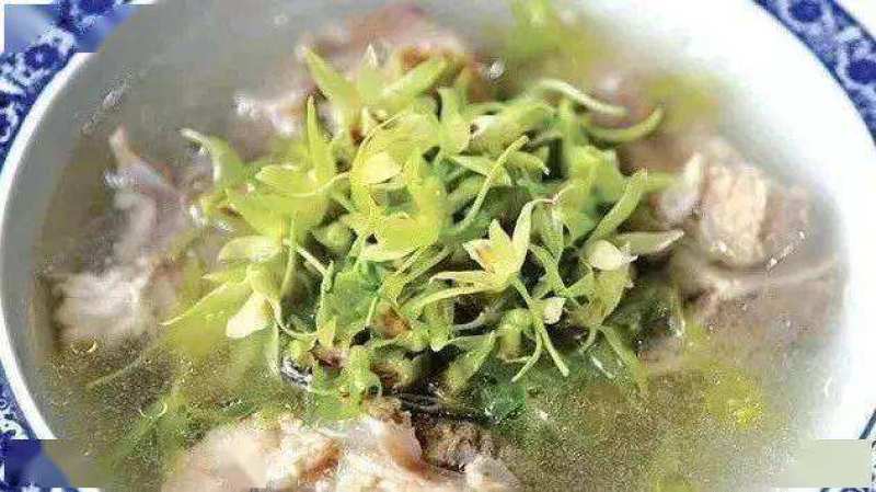 石斛花