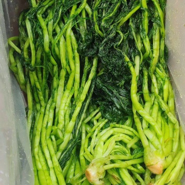 雪里红盐保鲜发货