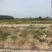 海南热带海边西瓜五子