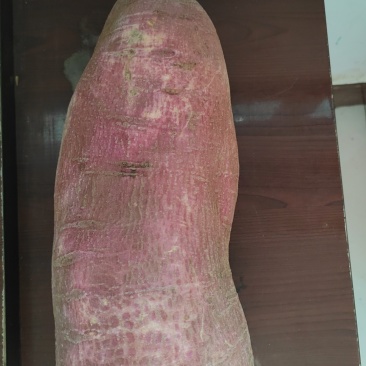 红薯