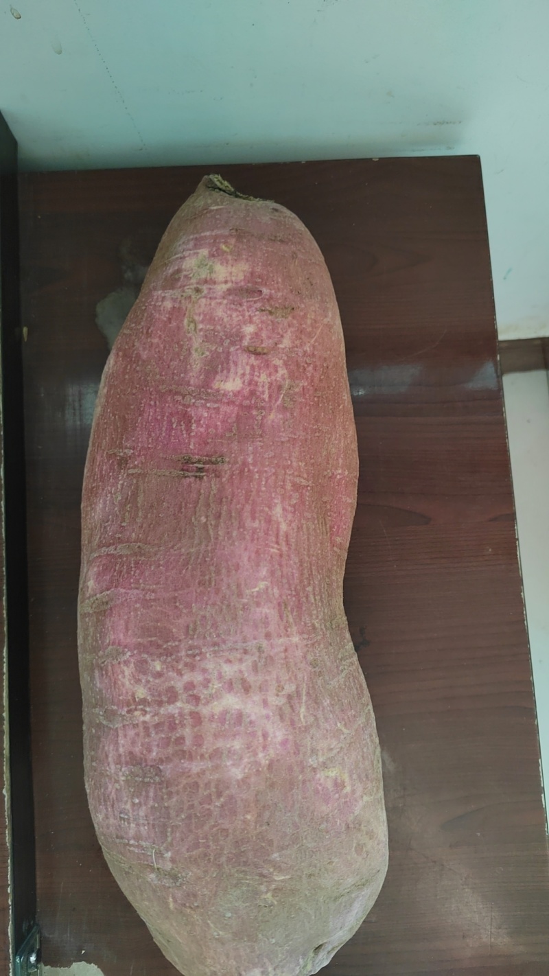 红薯