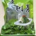 桑树芽新鲜食用嫩桑叶尖苗半成品特色菜桑叶芽凉拌菜