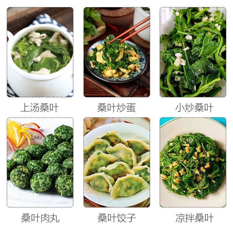 桑树芽新鲜食用嫩桑叶尖苗半成品特色菜桑叶芽凉拌菜