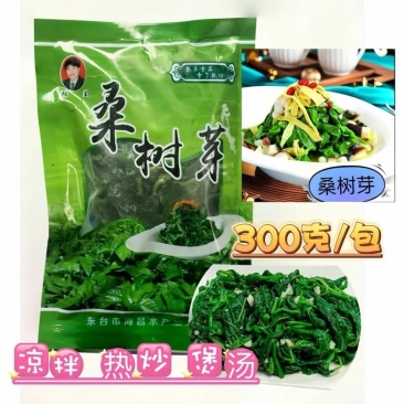 桑树芽新鲜食用嫩桑叶尖苗半成品特色菜桑叶芽凉拌菜