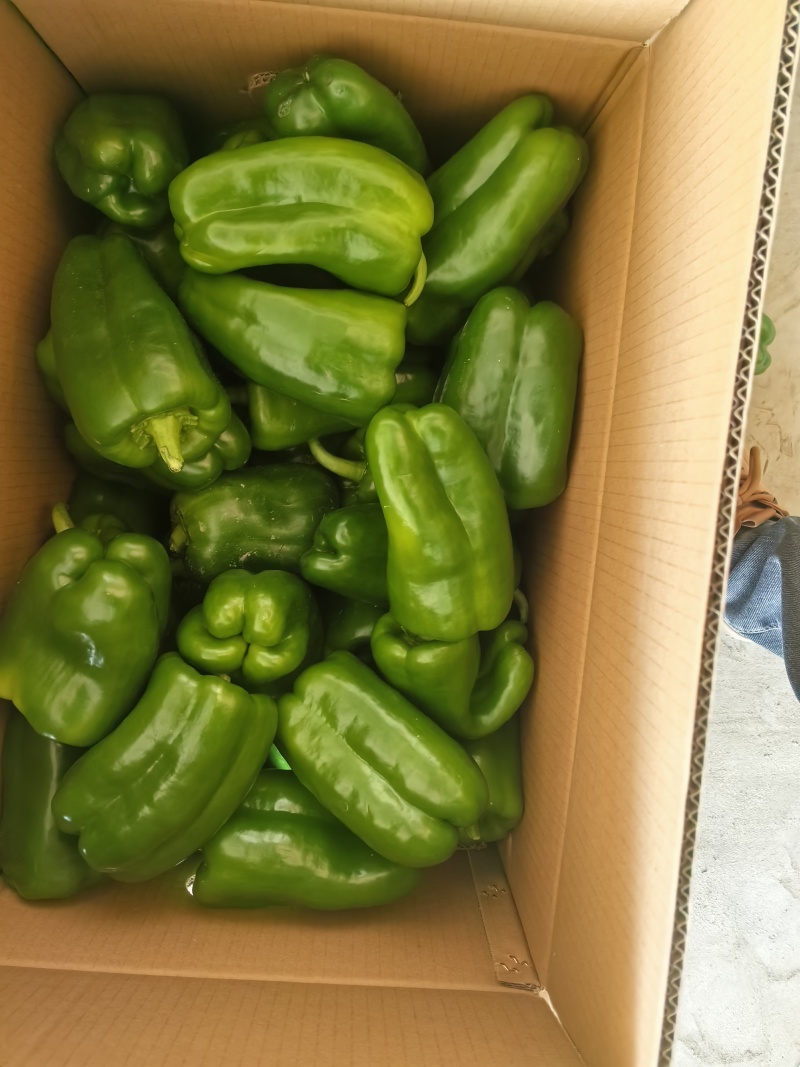 精品螺丝椒，黄皮椒，太空椒，方椒