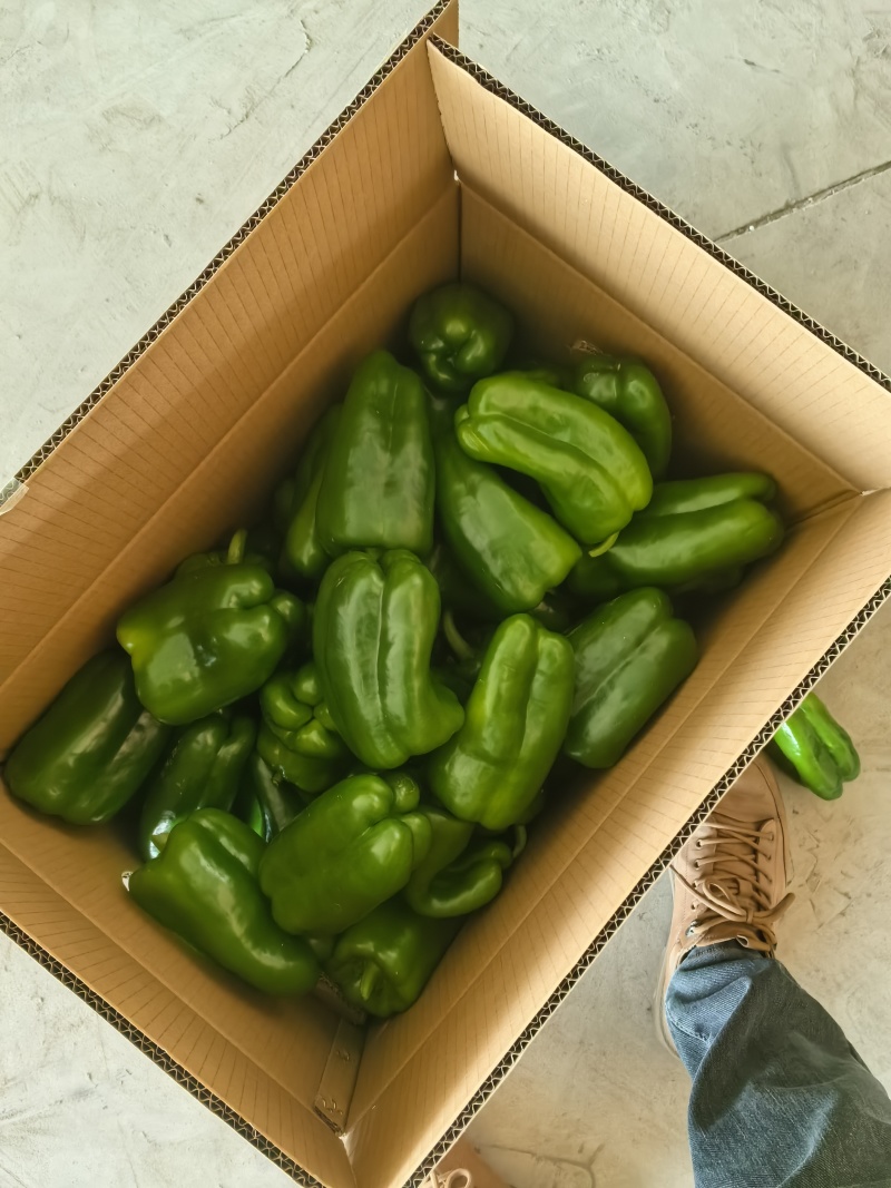 精品螺丝椒，黄皮椒，太空椒，方椒