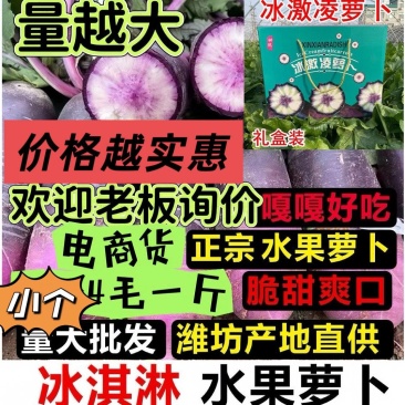 天星02，萝卜山东萝卜，水果萝卜，希卡利冰激淋水果萝卜