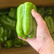 精品螺丝椒，黄皮椒，太空椒，方椒