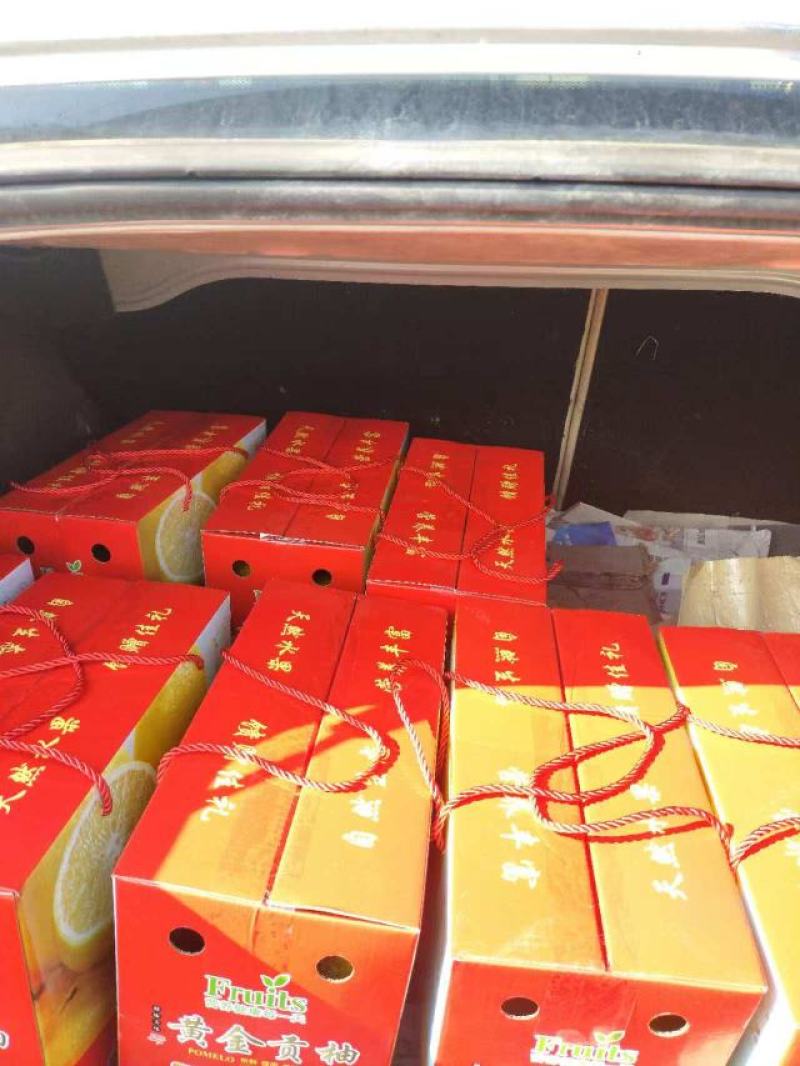 精品黄金贡柚纯甜无酸产地直发量大价优欢迎随时联系