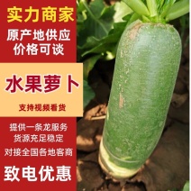精品水果萝卜大量上市产地️供应质量保证欢迎咨询
