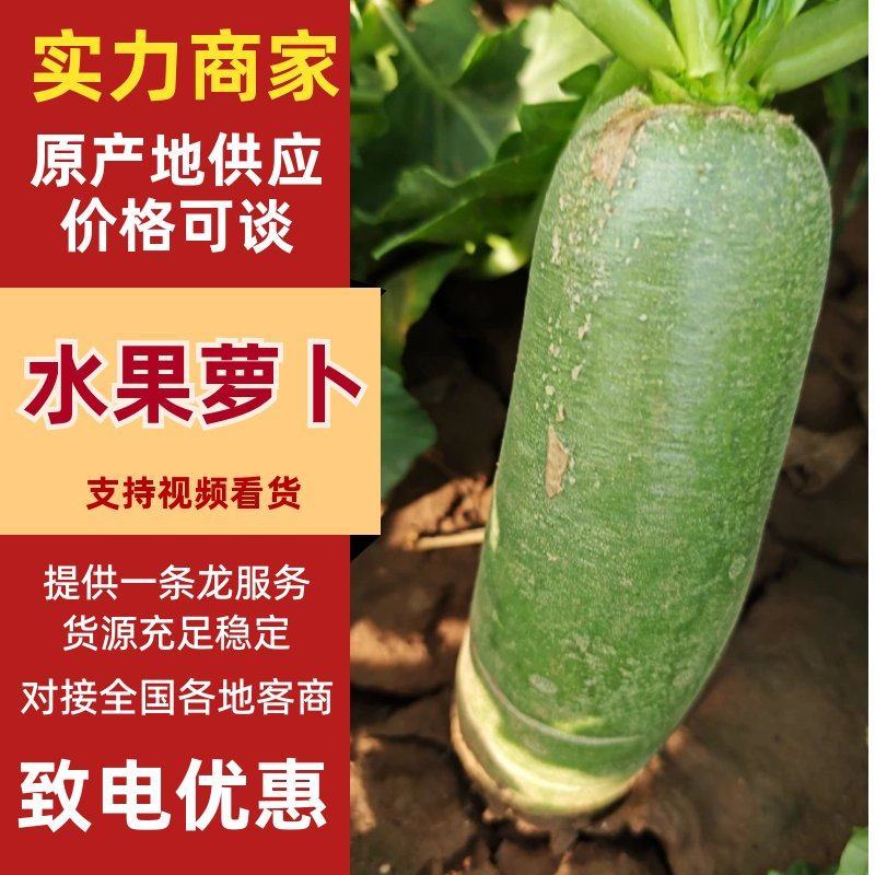 精品水果萝卜大量上市产地️供应质量保证欢迎咨询