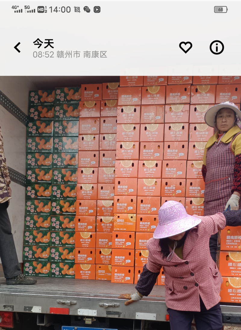 江西省南康区赣南脐橙