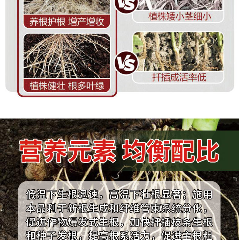 根甄多生根壮苗防根腐死棵烂苗功能肥