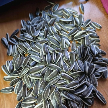 食葵