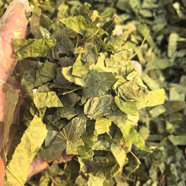淫羊藿丝今年新货颜色好看实图拍摄物美价廉