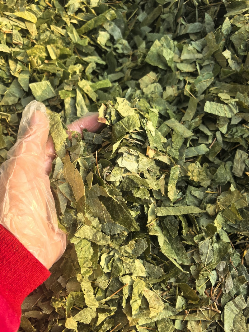 淫羊藿丝今年新货颜色好看实图拍摄物美价廉