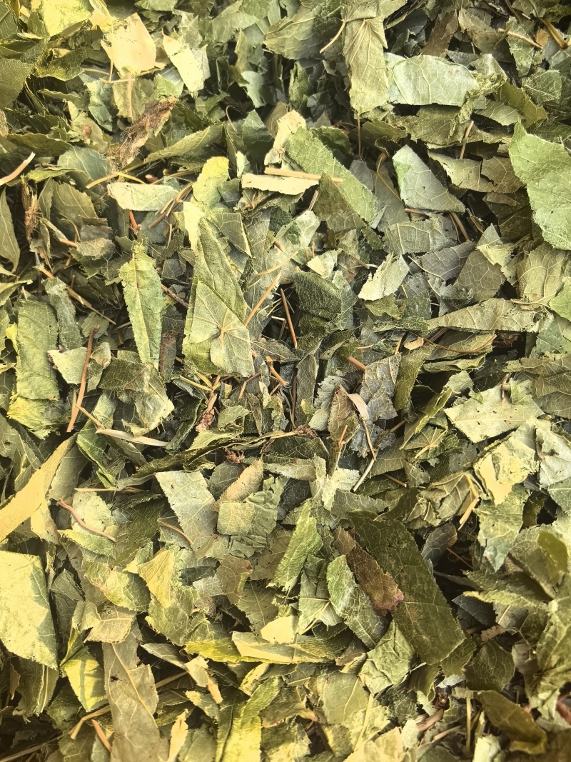 淫羊藿丝今年新货颜色好看实图拍摄物美价廉