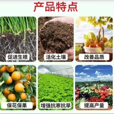厂家直发/矿源黄腐酸钾质量保证/一次合作终身朋友/25公斤/
