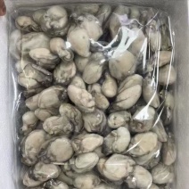 生蚝肉，毛重10斤，5箱起批运费自理，，，，，，，，，，