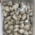 生蚝肉，毛重10斤，5箱起批运费自理，，，，，，，，，，