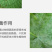 99%矿物油果园清园必备果园果树清园效果看的见活动