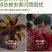 高效氯氟氰菊酯杀虫剂地上地下害虫通杀厂家批发