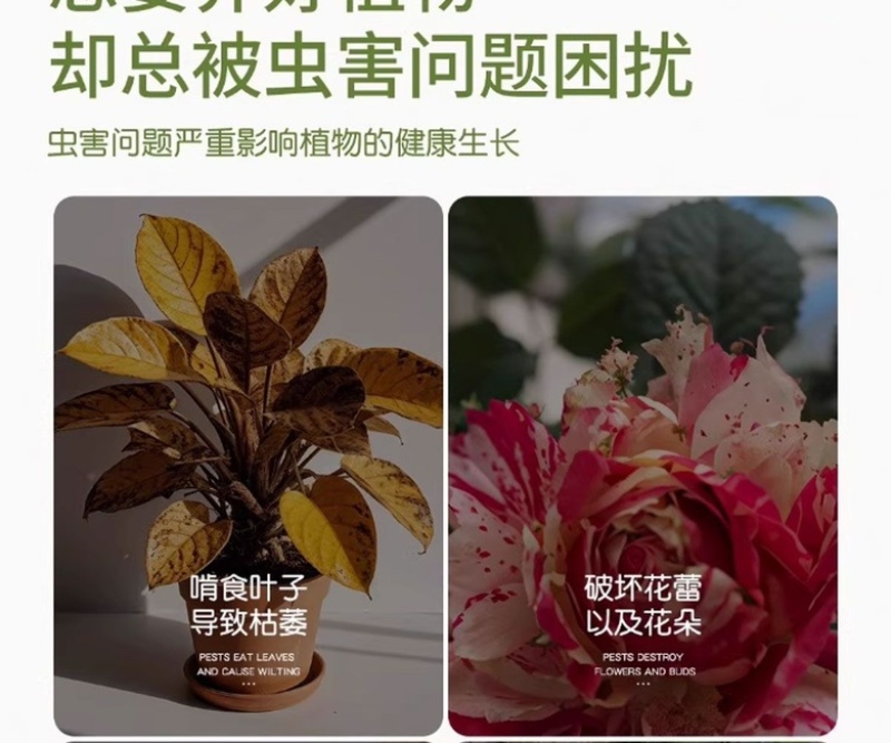 高效氯氟氰菊酯杀虫剂地上地下害虫通杀厂家批发