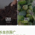 高效氯氟氰菊酯杀虫剂地上地下害虫通杀厂家批发