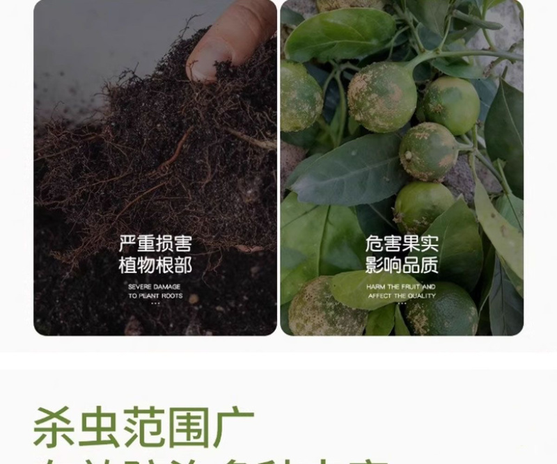 高效氯氟氰菊酯杀虫剂地上地下害虫通杀厂家批发