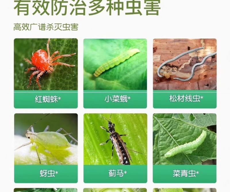 高效氯氟氰菊酯杀虫剂地上地下害虫通杀厂家批发