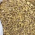 黄芩