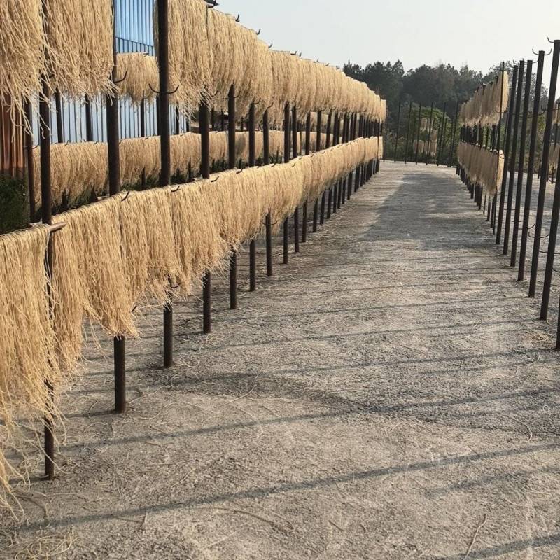 手工粉条