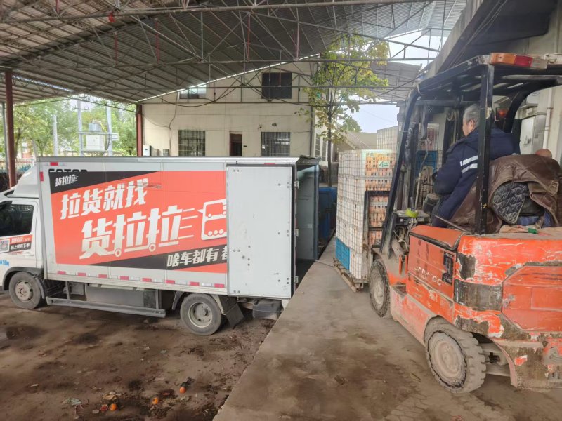 陕西富平吊柿饼，肉多霜厚入口即化，支持一件代发电商
