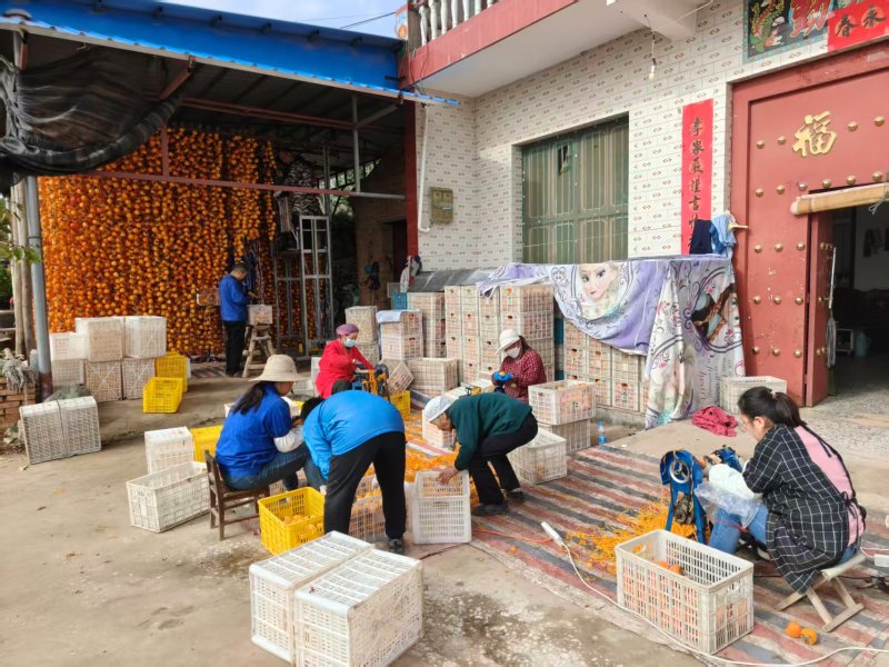 陕西富平吊柿饼，肉多霜厚入口即化，支持一件代发电商