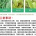 5%甲维高氯氟鳞翅目鞘翅目等多种害虫起效