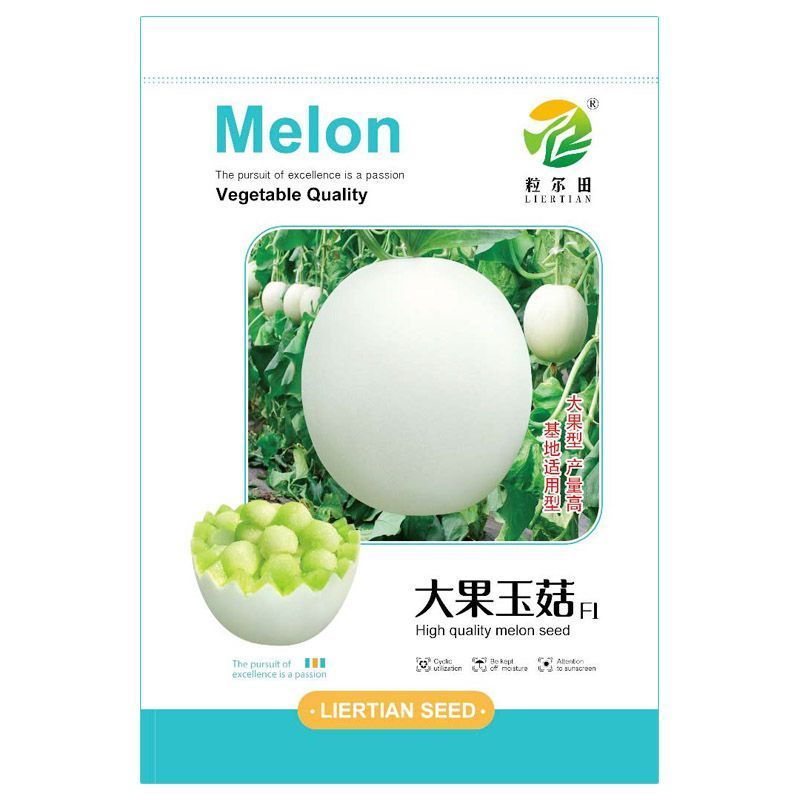 大果型绿肉玉菇种子粒尔田大果玉菇软糯蜜甜高产春秋大棚露地