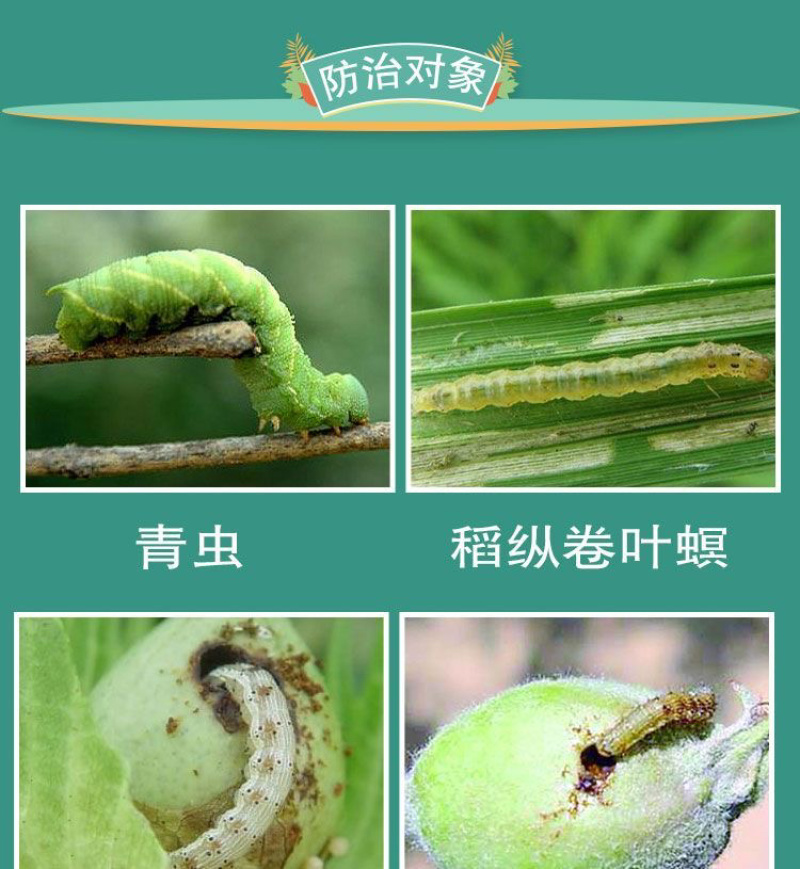 11.8甲维虫螨腈防治鳞翅目等咀嚼式害虫