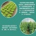 11.8甲维虫螨腈防治鳞翅目等咀嚼式害虫