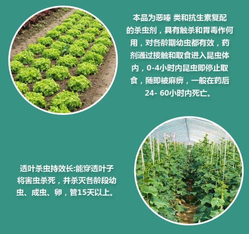 11.8甲维虫螨腈防治鳞翅目等咀嚼式害虫