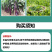 11.8甲维虫螨腈防治鳞翅目等咀嚼式害虫