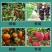 11.8甲维虫螨腈防治鳞翅目等咀嚼式害虫
