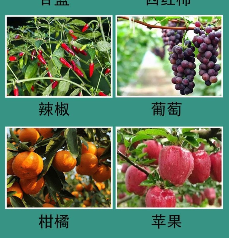 11.8甲维虫螨腈防治鳞翅目等咀嚼式害虫