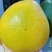 马家柚