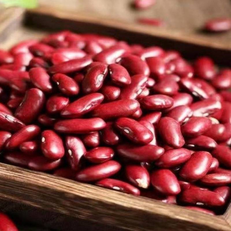 红腰豆大量上货品质好产地直供欢迎联系