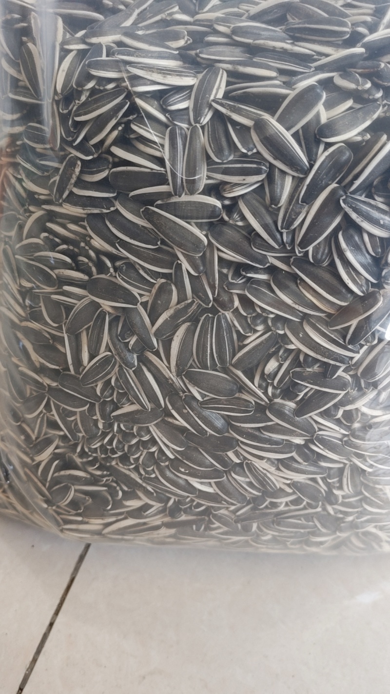 内蒙古生熟瓜子，大量对接市场，商超，电商一件代发，欢迎咨询