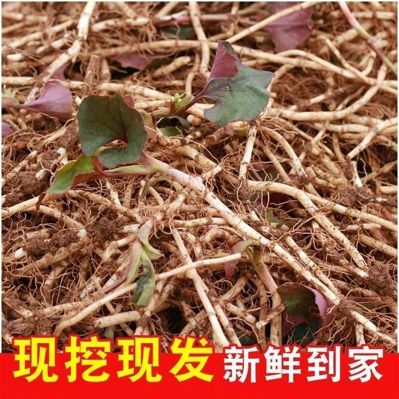 新鲜出炉一手货源全国发货品质保证欢迎老板联系