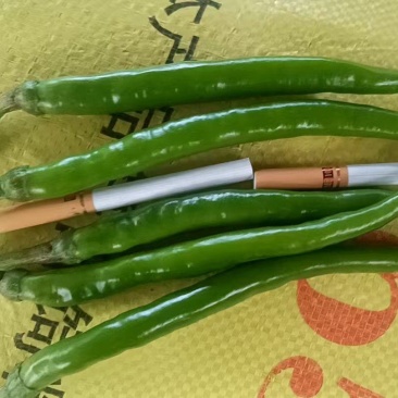 广西3号椒电商货看上联系