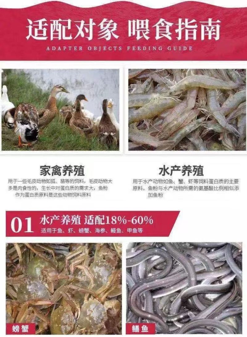 秘鲁进口蒸汽鱼粉饲料畜牧养殖家禽鸡鸭鹅鱼虾螺水产品兽用鱼