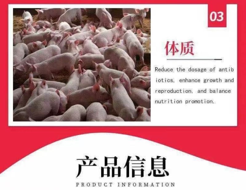 秘鲁进口蒸汽鱼粉饲料畜牧养殖家禽鸡鸭鹅鱼虾螺水产品兽用鱼