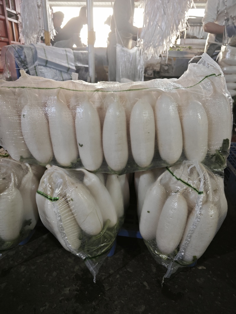 湖北蔬菜，白萝卜